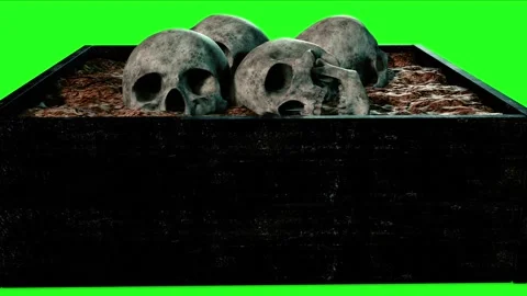 Box view with four skulls buried in mud with green screen in background Stock Footage 167144337