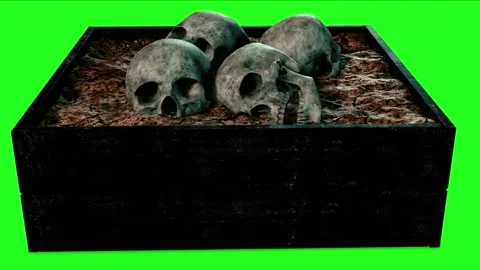 Box view with four skulls buried in mud with green screen in background Stock Footage 167144343