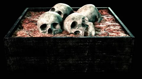 Box view with four skulls Video stock 167144133