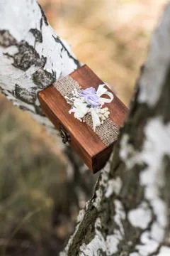 Box for wedding rings Stock Photos