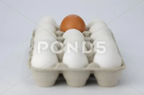 Box Of White Eggs With One Brown Egg