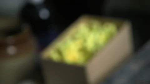 Box of yellow chalk with various focus pulls Stock Footage 47529028