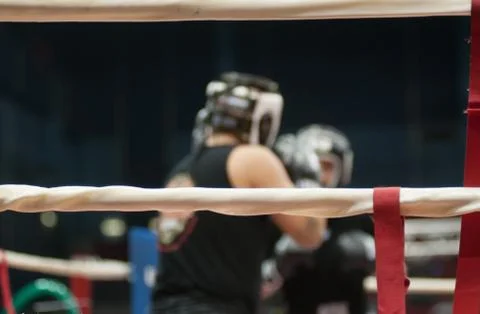 Boxe Stock Photos