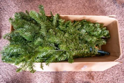 Boxed artificial Christmas tree before or after seasonal setup for holidays Stock Photos