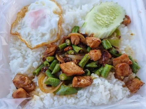 Boxed lunch ready to eat. Cooked rice with chicken chilli, fried egg and cu.. Fotos de archivo