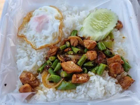 Boxed lunch ready to eat. Cooked rice with chicken chilli, fried egg and cu.. Fotos de archivo