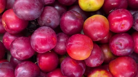 Boxed plums seen from above Stock Footage 278829505