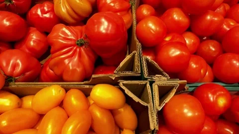 Boxed Red and Yellow Tomatoes at Store Stock Footage 340340777