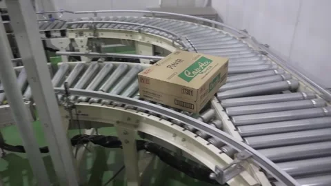 Boxed Sake Moving Along a Roller Conveyor Stock Footage 340010832
