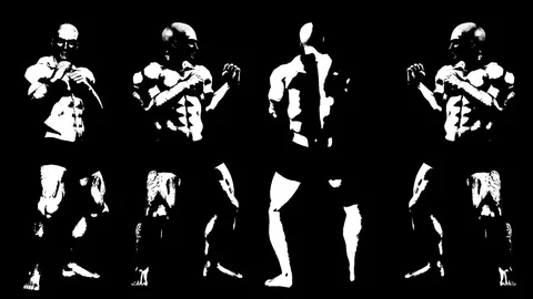 Boxer. 4 view. Animated silhouette. Alpha channel. 4k video. Stock Footage 71643820