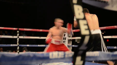 Boxer Attacks Stock Footage 22753379