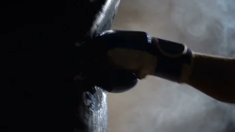 Boxer beats boxer pear Video stock 74294523