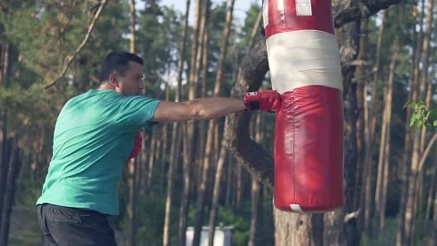   Boxer beats boxer pear in forest in slow motion Stock Footage 96255941