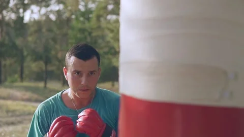   Boxer beats boxer pear in forest in slow motion Stock Footage 96256400