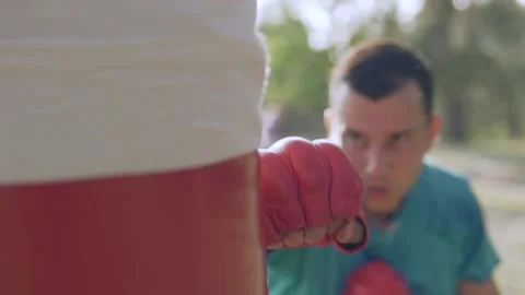   Boxer beats boxer pear in forest in slow motion Stock Footage 96256506