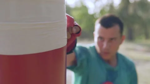   Boxer beats boxer pear in forest in slow motion Stock Footage 96256573