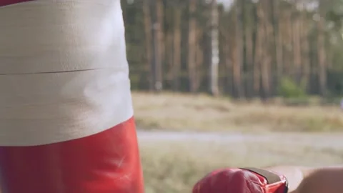   Boxer beats boxer pear in forest in slow motion Stock Footage 96256695