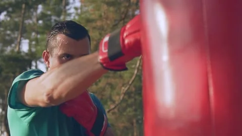   Boxer beats boxer pear in forest in slow motion Stock Footage 96256754