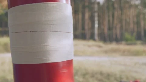  Boxer beats boxer pear in forest in slow motion Stock Footage 96256836
