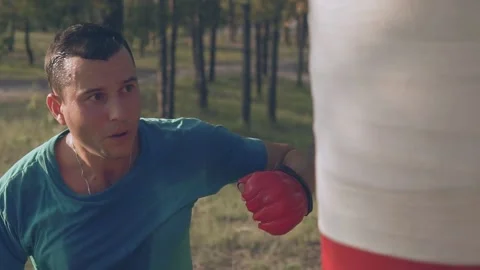   Boxer beats boxer pear in forest in slow motion Stock Footage 96257239