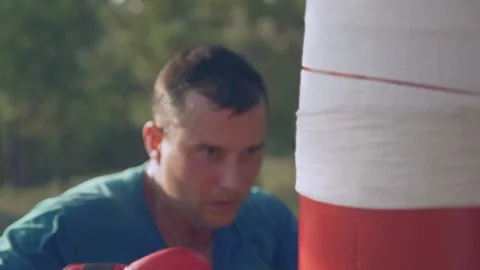   Boxer beats boxer pear in forest in slow motion Stock Footage 96257344