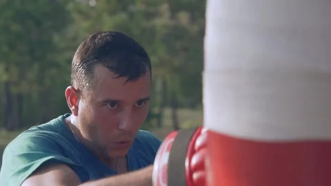   Boxer beats boxer pear in forest in slow motion Stock Footage 96257430