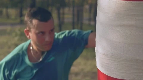   Boxer beats boxer pear in forest in slow motion Stock Footage 96257495