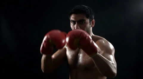 Boxer on black Stock Footage 22956907