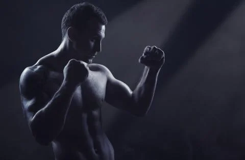 Boxer on black Stock Photos