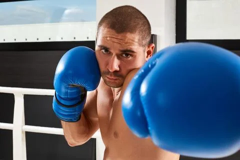 Boxer in blue gloves Stock Photos