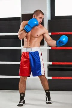 Boxer in blue gloves warming up in the ring Stock Photos