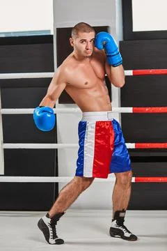 Boxer in blue gloves warming up in the ring Stock Photos