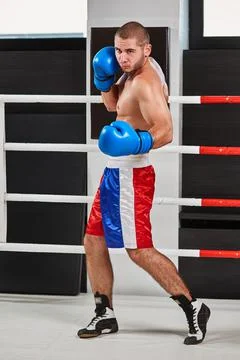 Boxer in blue gloves warming up in the ring Stock Photos