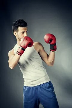 Boxer in defensive position Stock Photos