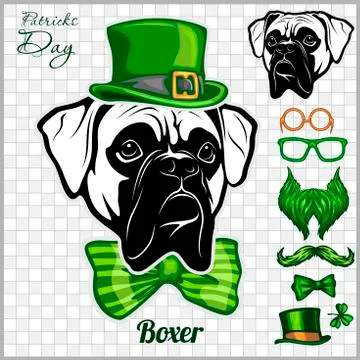 Boxer Dog and design elements of St. Patricks Day - Temblate for St. Patricks Stock Illustration