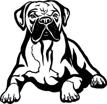 Boxer - Dog Breed, Funny dog Vector File, detailed vector Stock Illustration