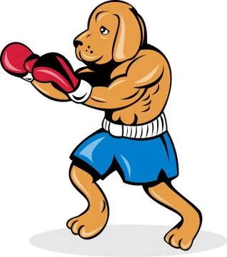 Boxer dog with gloves Stock Illustration