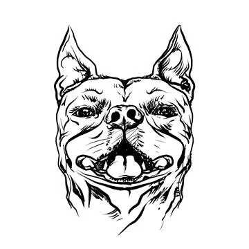 Boxer Dog. Hand drawn vector illustration Stock Illustration