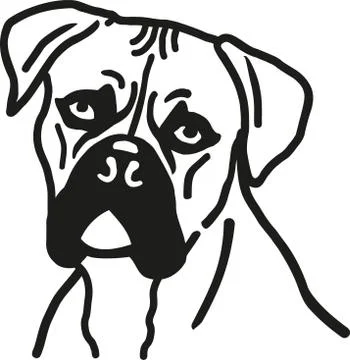 Boxer dog head Stock Illustration