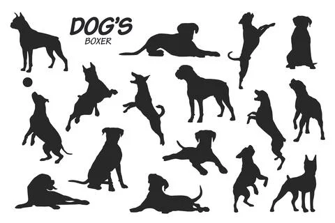 Boxer dog silhouettes Stock Illustration
