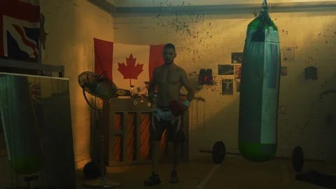 Boxer drinking water after training Stock Footage 100036682