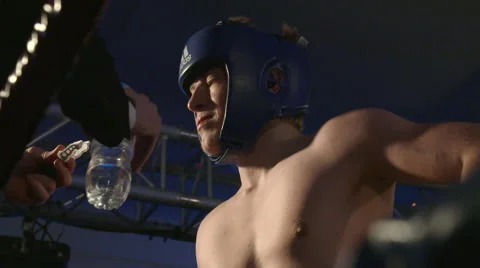 Boxer Drinking Water Slow Motion Stock Footage 48912500