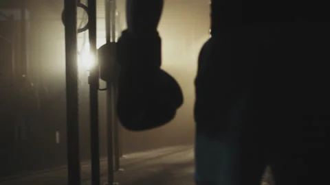 Boxer entering practice ground Stock-Footage 236192510