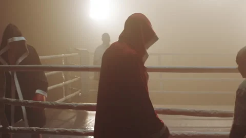 A Boxer entering the ring Stock Footage 283292976