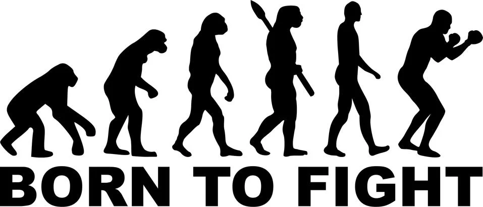 Boxer Evolution Born to Fight Stockillustratie