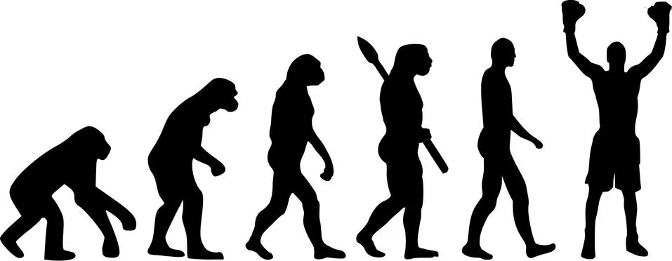 Boxer Evolution Champion イラスト素材