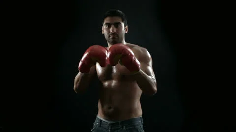 Boxer Stock Footage 22955817