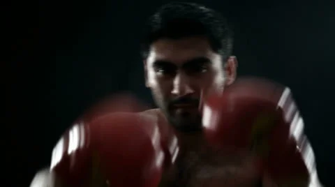 Boxer Stock Footage 22956655