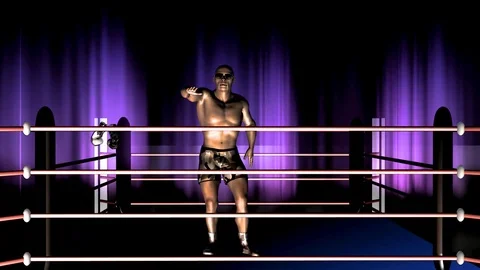 The Boxer Stock Footage 102802995