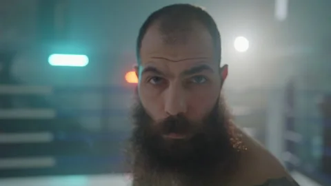 Boxer Stock Footage 144613474